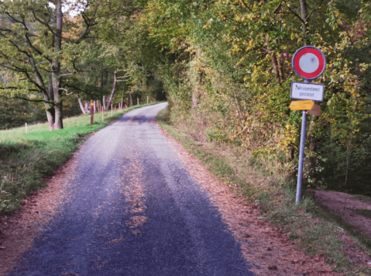 021 - Balsthal - Farisberg - Beretenchopf - Langenbruck - Holderbank 21.6 km - 821Hm - 2h