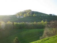 021 - Balsthal - Farisberg - Beretenchopf - Langenbruck - Holderbank 21.6 km - 821Hm - 2h