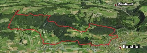 004 - Balsthal - Brunnersberg - Laupersdorf 16.19km - 932HM - 1h45min.