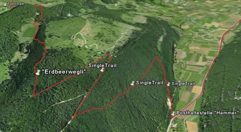 006 - Balsthal - Brunnersberg - Tanmatt - "Erdbeerwegli" Hammer - 31.20km - 949HM - 2h30min.